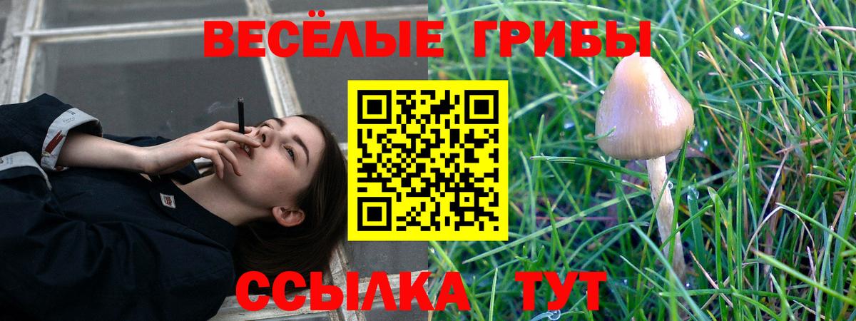 Галлюциногенные грибы мицелий  Вход с VPN  Саянск 